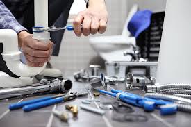 Best Pipe Inspections and Diagnostics  in Flint Hill, MO